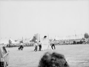 Dagenham Town Show 1969, showing Alsation dog leaping over fence in Dog Show, 1969