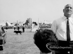 Dagenham Town Show 1969, showing Alsation dogs performing tricks in Dog Show, 1969