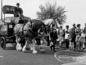 Dagenham Town Show 1969, showing Manns dray horses and waggon in procession and nearing Civic Centre, 1969