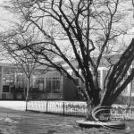 The snow-covered lawn outside of Valence Library, Dagenham, 1970