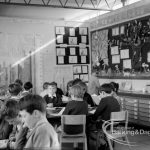 New William Bellamy Prim...