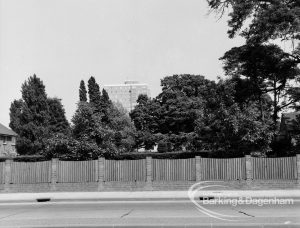 Preserved trees at Woodlands House in Rainham Road North, Dagenham, east side, 1970