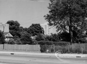 Preserved trees at Woodlands House in Rainham Road North, Dagenham, with tower block behind, 1970