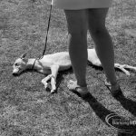 Dagenham Town Show 1970,...