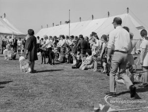 Dagenham Town Show 1970, showing spectators at Dog Show, 1970