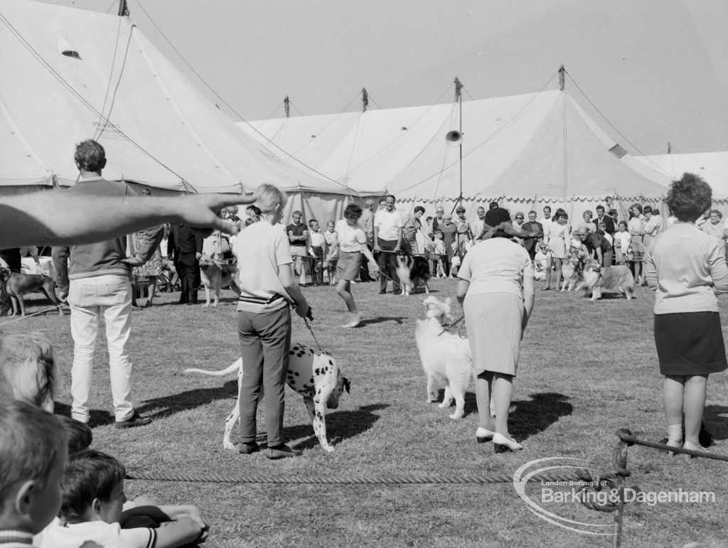 Dagenham Town Show 1970, showing general scene at Dog Show, 1970