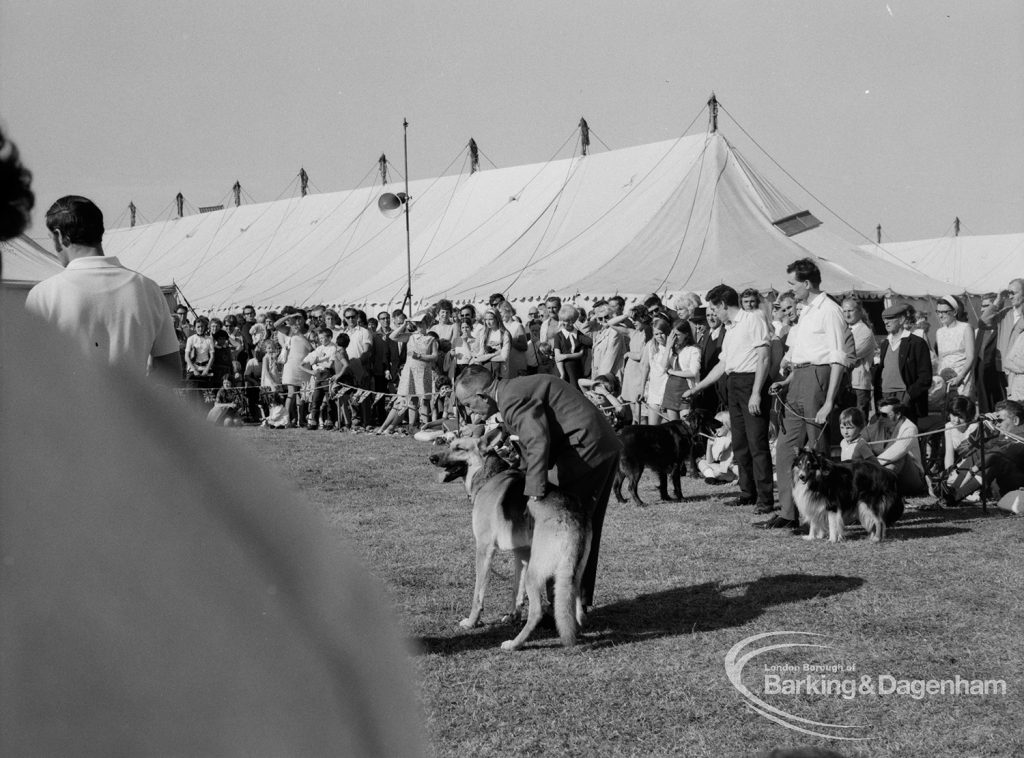 Dagenham Town Show 1970, showing crowd outside marquee and Alsation dog in foreground, 1970