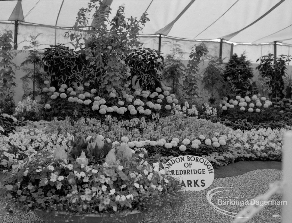 Dagenham Town Show 1970, showing horticulture exhibition with London Borough of Redbridge Parks display, 1970