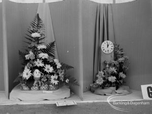 Dagenham Town Show 1970, showing horticulture exhibition with marguerites, ferns and clock exhibit, 1970