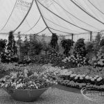 Dagenham Town Show 1970, showing Horticulture exhibition with main display including bowls of flowers, 1970