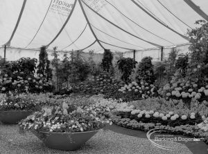 Dagenham Town Show 1970, showing Horticulture exhibition with main display including bowls of flowers, 1970