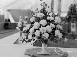 Dagenham Town Show 1970, showing horticulture exhibition with vase of dahlias, 1970