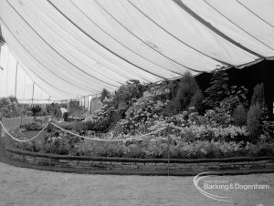 Dagenham Town Show 1970, showing horticulture exhibition with distant view of semicircular display of flowers, 1970