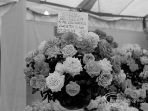 Dagenham Town Show 1970, showing horticulture exhibition with Roding collection of nine colourful varieties of rose, 1970