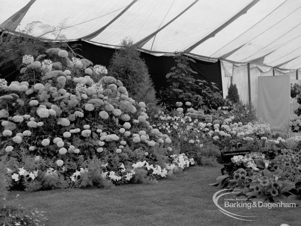 Dagenham Town Show 1970, showing horticulture exhibition with display of shrubs. et cetera, 1970