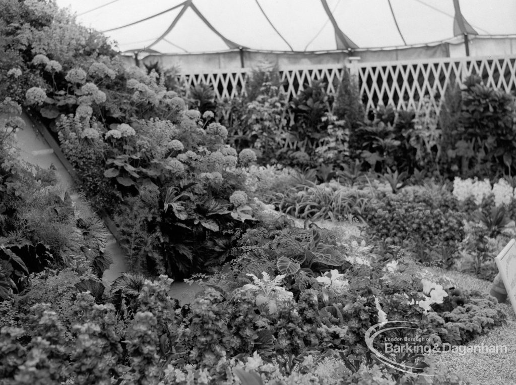 Dagenham Town Show 1970, showing horticulture exhibition with mound displaying many varieties of flower, 1970