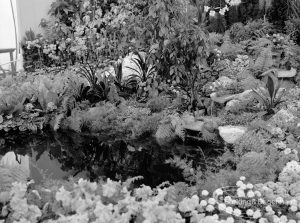 Dagenham Town Show 1970, showing mass of foliage and flowers around a pool, 1970