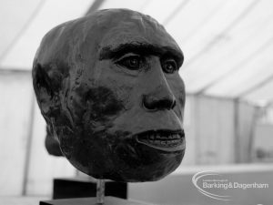Dagenham Town Show 1970, showing sculpture [possibly of Neanderthal man’s head] on Arts section display, 1970