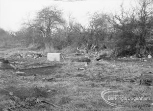 Gypsy encampment, showing area at edge of wood after gypsies left in February, 1971