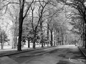 An avenue of trees looking south from the east gate of Barking Park, Barking, 1971