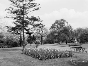 Barking Park, Barking, showing area near War Memorial, with tulip flowerbed, conifer trees, and bench, 1971
