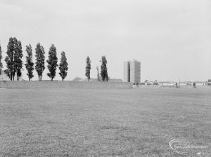Undeveloped land at The Leys, Dagenham, showing poplar trees near Leys Swimming Pool and Cadiz Court, 1971