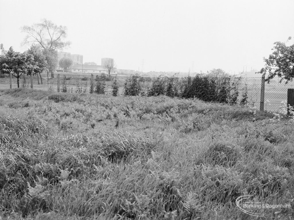 Undeveloped land at The Leys, Dagenham, showing rough grass towards south-east from west end, 1971
