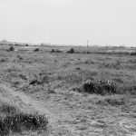 Undeveloped land at The Leys, Dagenham, showing rough field across stream looking south-east, 1971
