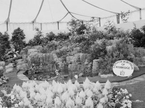 Dagenham Town Show 1971 at Central Park, Dagenham, showing London Borough of Redbridge Parks display in Horticulture marquee, 1971