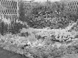 Dagenham Town Show 1971 at Central Park, Dagenham, showing massed flowers in flowerbeds in Horticulture marquee, 1971