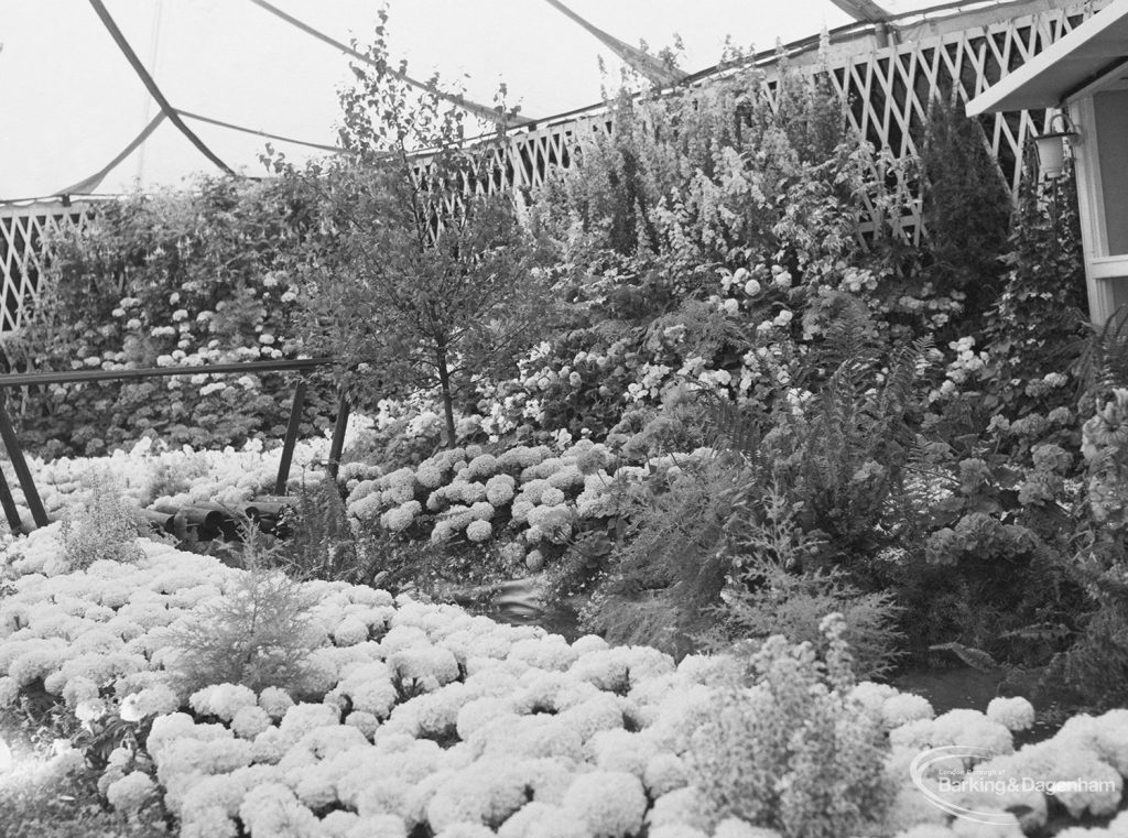 Dagenham Town Show 1971 at Central Park, Dagenham, showing massed flowers in flowerbeds in Horticulture marquee, 1971