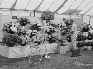 Dagenham Town Show 1971 at Central Park, Dagenham, showing exhibitor arranging large vases of flowers in Horticulture marquee, 1971