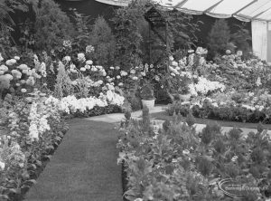 Dagenham Town Show 1971 at Central Park, Dagenham, showing footpath between five flowerbeds in Horticulture marquee, 1971