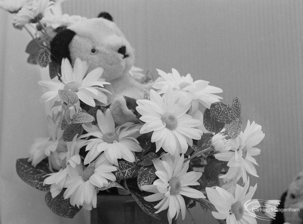 Dagenham Town Show 1971 at Central Park, Dagenham, showing marguerites with stuffed toy bear in Flower Arrangement display, 1971