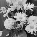 Dagenham Town Show 1971 ...