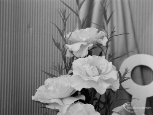 Dagenham Town Show 1971 at Central Park, Dagenham, showing carnations with key handle in Flower Arrangement display, 1971