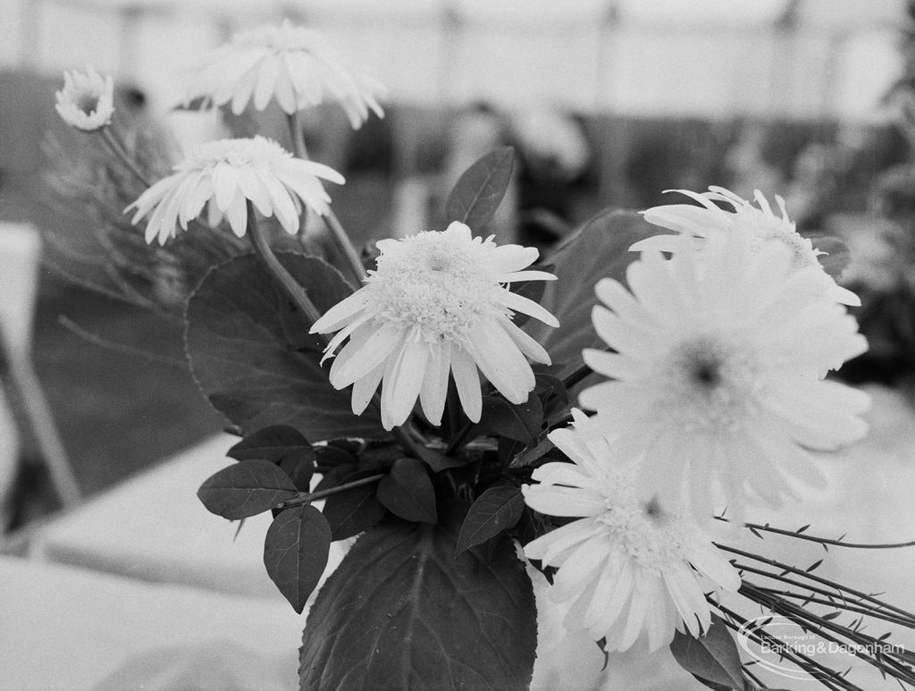 Dagenham Town Show 1971 at Central Park, Dagenham, showing pale yellow dahlias in Flower Arrangement display, 1971