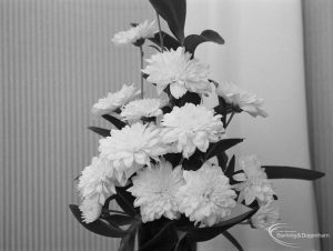 Dagenham Town Show 1971 at Central Park, Dagenham, showing white chrysanthemums in vase in Flower Arrangement display, 1971