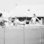 Dagenham Town Show 1971 ...
