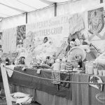 Dagenham Town Show 1971 ...