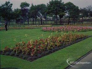 Britain in Bloom competition, showing Old Dagenham Park flowerbeds looking towards Rectory Library, 1971