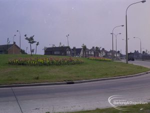 Britain in Bloom competition, showing flowerbeds on roundabout at Ballards Road junction with Rainham Road South, Dagenham, south end looking from south-west, 1971
