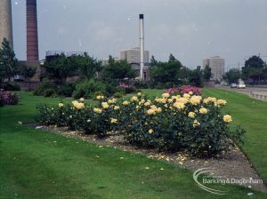 Britain in Bloom competition, showing corner of Bull Lane and Rainham Road North, Dagenham, taken from Salvage Plant and including view of rose bed, 1971