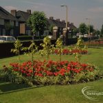 Britain in Bloom competi...