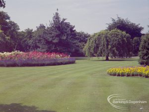 Britain in Bloom competition, showing gardens near War Memorial in Barking Park, including yellow flowers on right, 1971