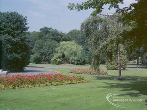 Britain in Bloom competition, showing group of yellow-topped trees and flowerbeds in Barking Park, 1971