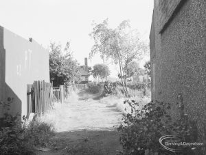 Footpath [to be closed] between Rectory Road and Vicarage Road, Dagenham, with fence, trees, shrubs and grass, 1971