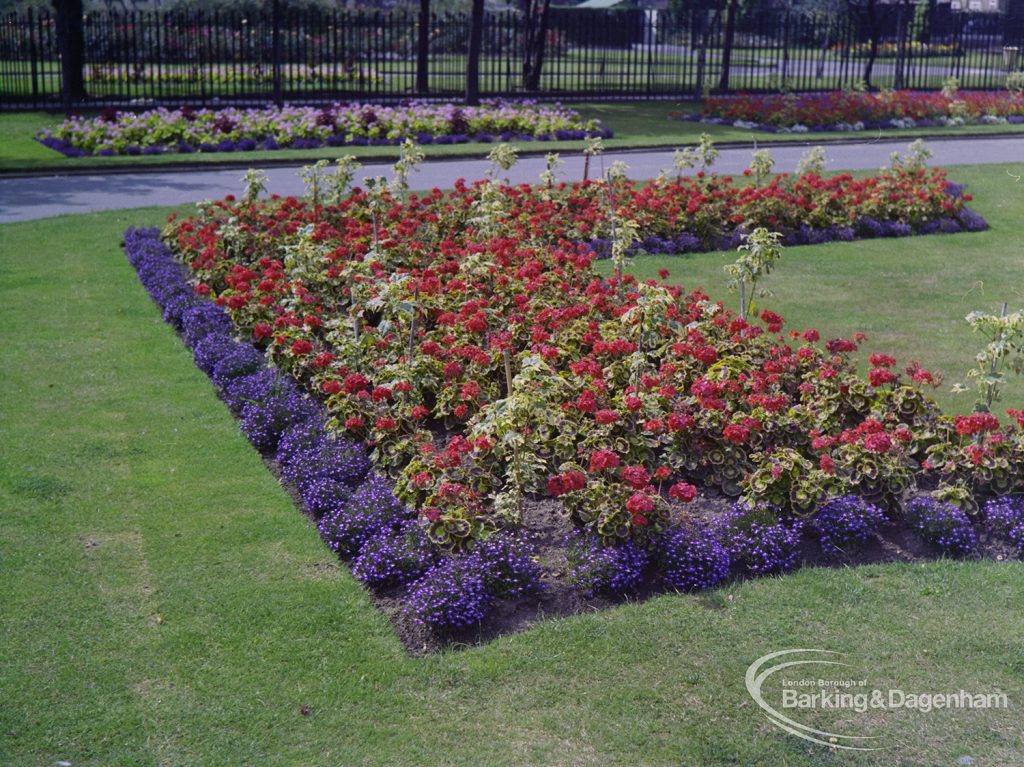 Britain in Bloom competition, showing flowerbed near Vicarage Road entrance of Old Dagenham Park, Dagenham, 1971