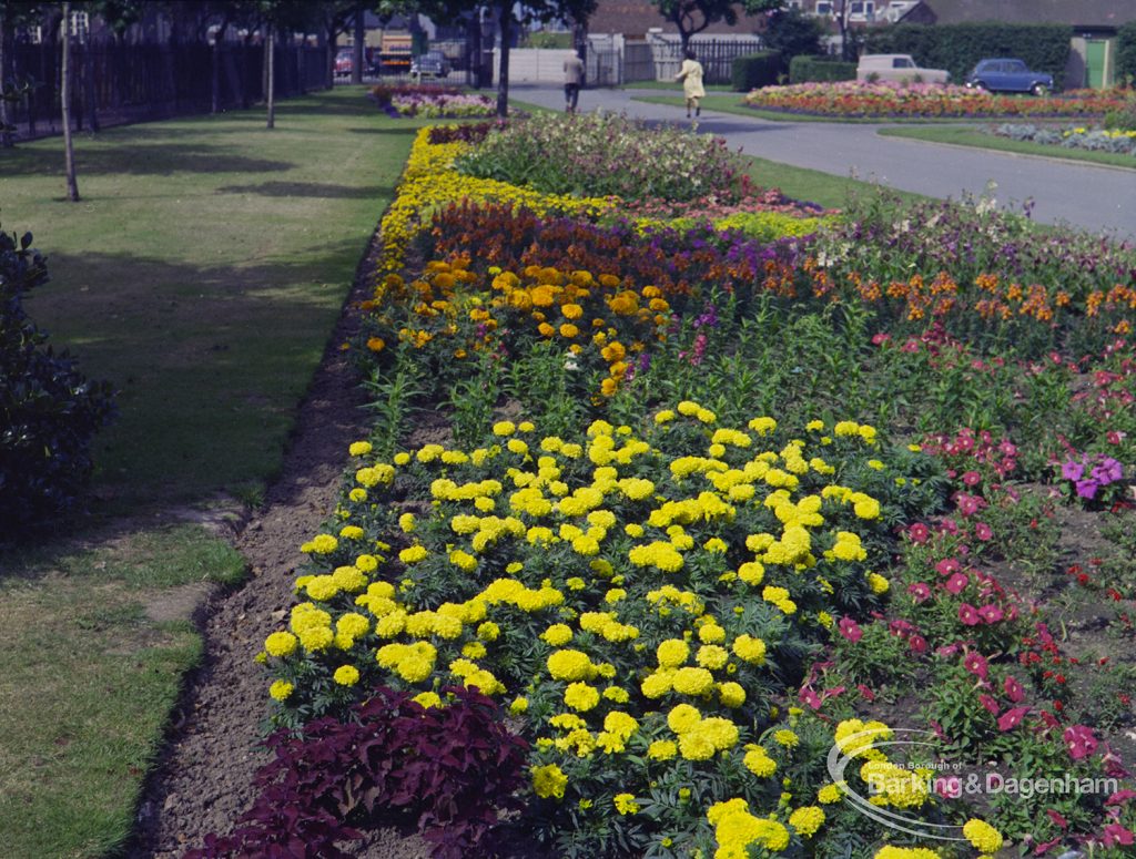 Britain in Bloom competition, showing flowerbed near Vicarage Road entrance of Old Dagenham Park, Dagenham, 1971