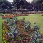 Britain in Bloom competi...